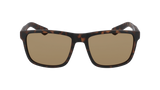 Sunglasses - Reed LL - Dragon Alliance